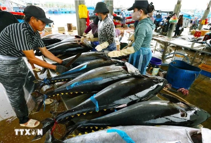 Tuna exports poised to hit US$1 billion this year